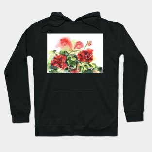 Plant geranium, flowers and leaves, watercolor Hoodie